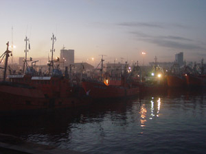 harbour_mdp.JPG