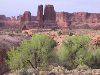 USA-Arches_spring_colour.jpg