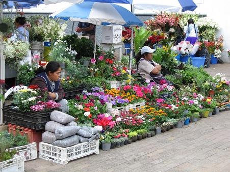 Cuenca_floreros22.JPG