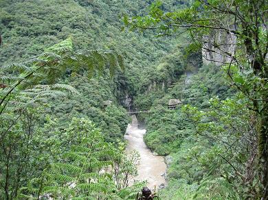 Rio_Verde_hanging_bridge19.JPG