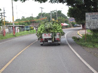 banana_truck_nicaragua16.jpg