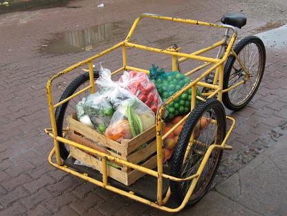 fruit_vegetable_delivery16.JPG