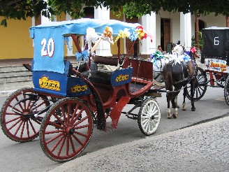 horse_carriage_Granada16.jpg