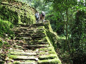 moss_staircase_in_Lost_City16.JPG