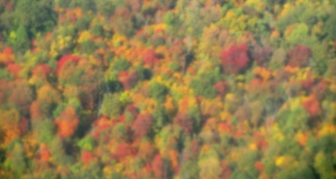 1blurryfallcolours.JPG