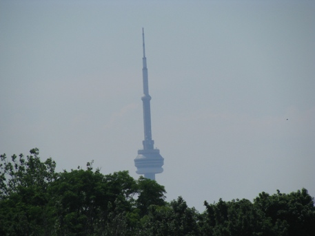 1cntower.JPG