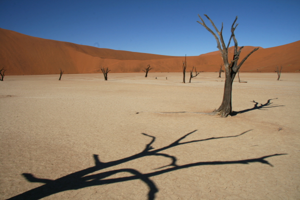 deadvlei.JPG