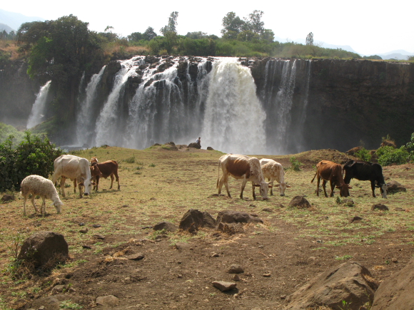 ethiopia022.JPG