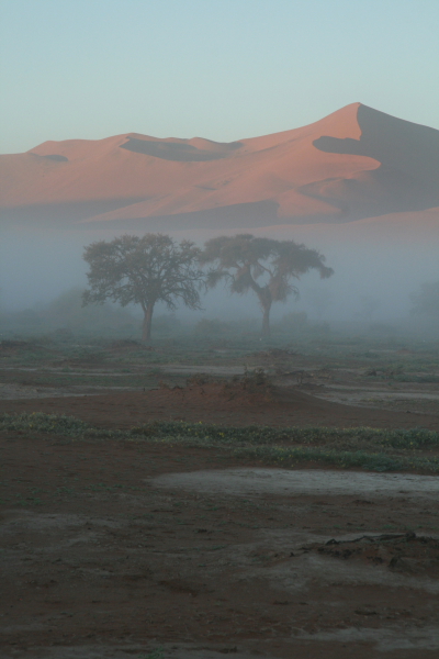 namibia014.JPG