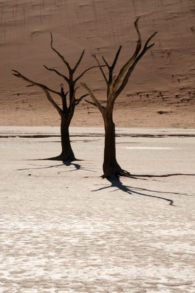 namibia019.JPG