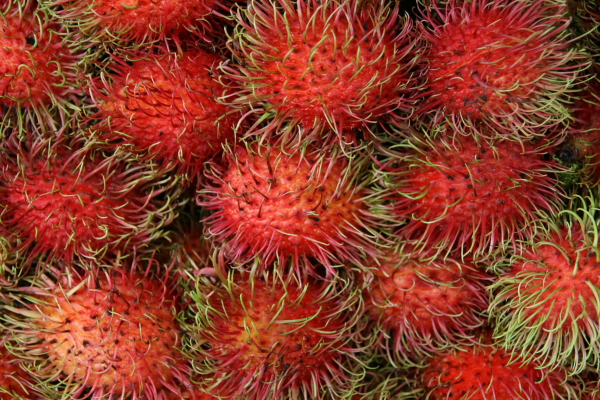 rambutan.JPG