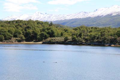 17ParqueNatTierraDelFuego.jpg