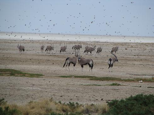 056Namibia.JPG