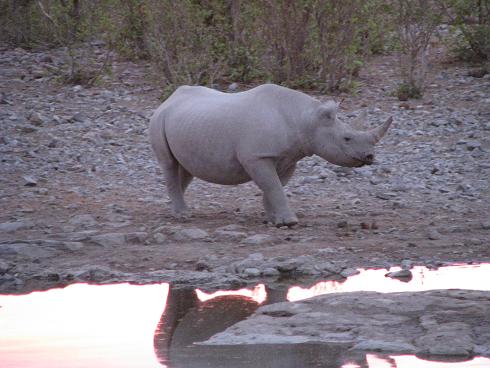 065Namibia.JPG