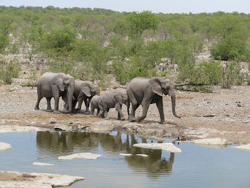 069Namibia.JPG