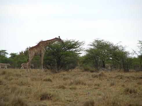 073Namibia.JPG