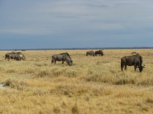 085Namibia.JPG