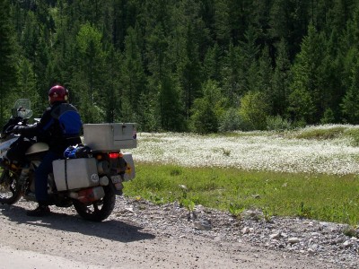 bikewildflowers.jpg