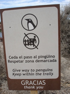 pengsign.JPG