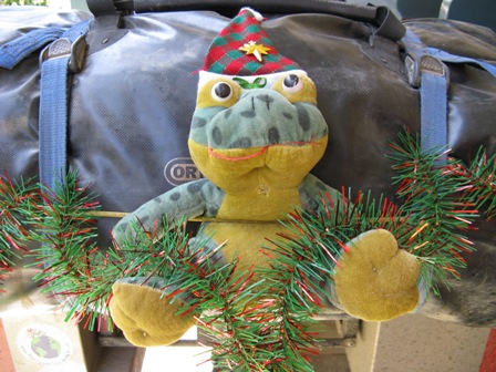 xmasfrog.JPG