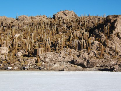 11Uyuni16.jpg