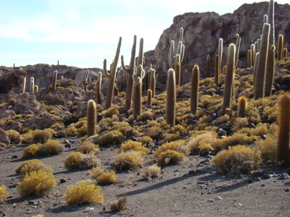 12uyuni75.jpg