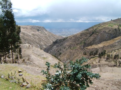 Ayacucho1.jpg