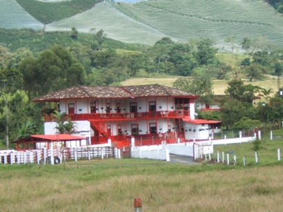 Guayabito.jpg