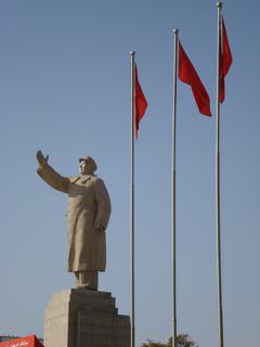 1_Mao_320.jpg