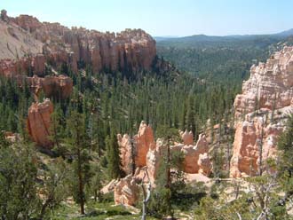 Were those condors in the distance? Bryce Canyon