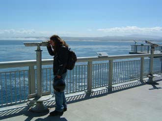 Otter spotting, Monterey acquarium