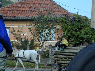 Horse_cart.jpg