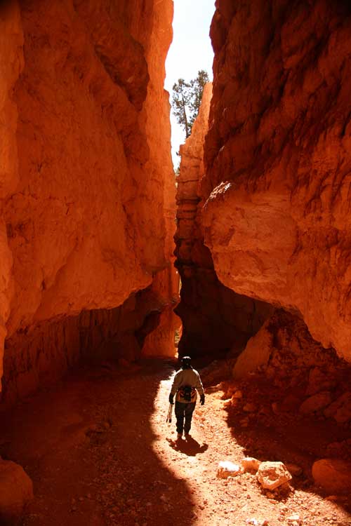 Bryce-Canyon-WEB.jpg