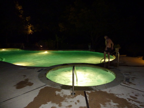 nightdip.jpg