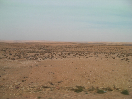 Week6Moroccodesert2.jpg