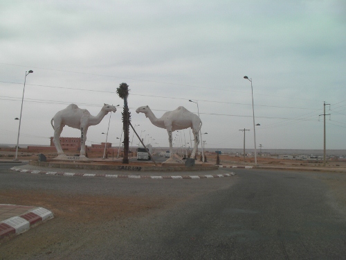 Week6Moroccotantancamels.jpg