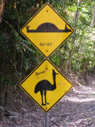 Daintree roadsigns