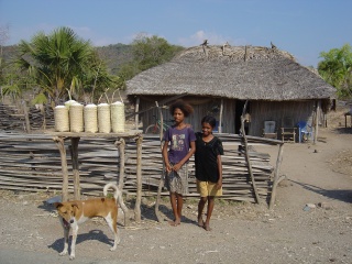 Timor Leste salt for sale