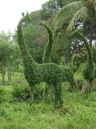 Nong Khai topiaries