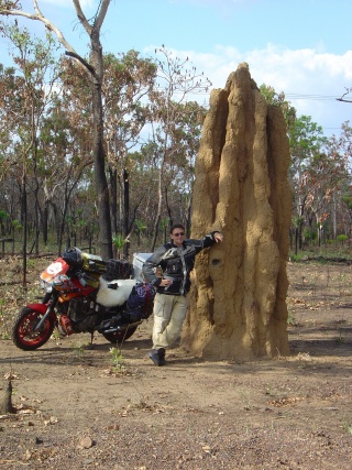 highrise termite mounds