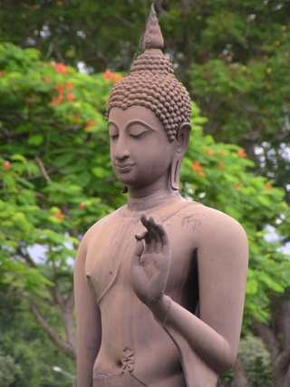 serene Buddha