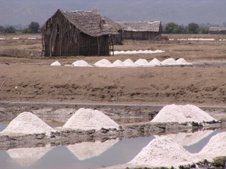 Sumbawa salt production