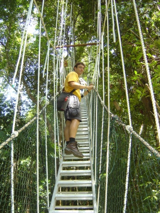 Taman Negara NP Rich on canopy walkway