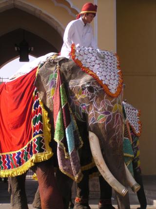 Jaipur City Palace Elephant