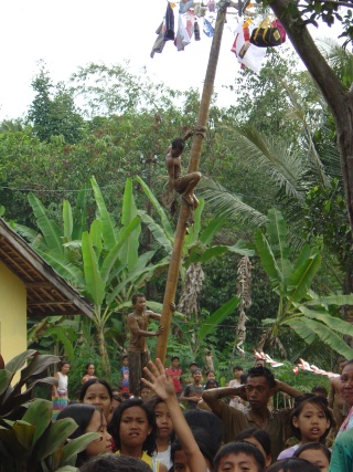 independance day pole climbing