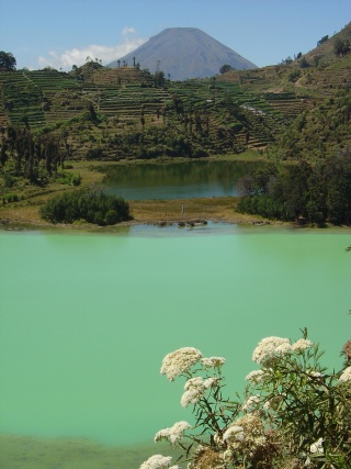 Dieng Plateau