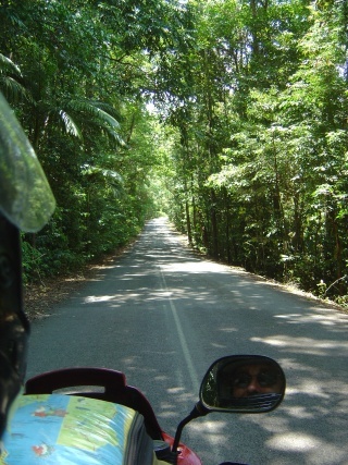 riding through rainforest