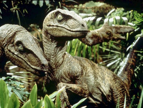 43245373-velociraptors.jpg