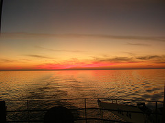 sunset4.jpg