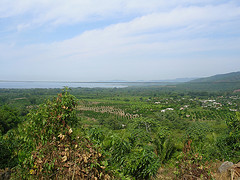 view1.jpg